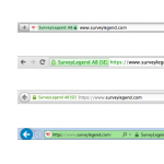 SSL: I see some websites having their company name on the address bar, some not General