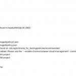 A puppeteer script to get your chrome information General